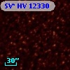 SV* HV 12330