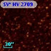 SV* HV  2709