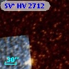 SV* HV  2712