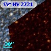 SV* HV  2721