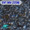 SV* HV  2736