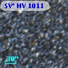 SV* HV  1011