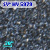 SV* HV  5979