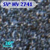 SV* HV  2741