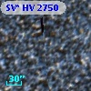 SV* HV  2750