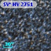 SV* HV  2751