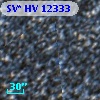 SV* HV 12333