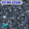 SV* HV 12336