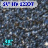 SV* HV 12337