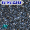 SV* HV 12339
