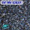 SV* HV 12637