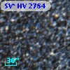 SV* HV  2784