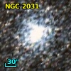 NGC  2031