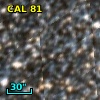 CAL 81