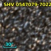 OGLE J054634.92-702118.8