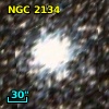 NGC  2134