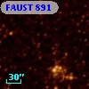 FAUST  891