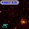 FAUST  929