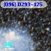 [O96] D293-125