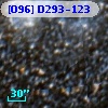 [O96] D293-123