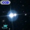 CCDM J18028+7547C