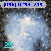 [O96] D293-219