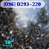 [O96] D293-220