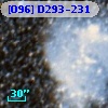 [O96] D293-231