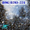 [O96] D293-221
