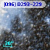 [O96] D293-229