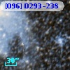 [O96] D293-238