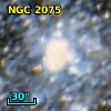 NGC  2075