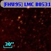 [FHW95] LMC B0531-7101