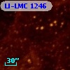 LI-LMC 1246