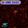 LI-LMC 1313