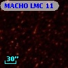 MACHO LMC 11