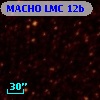 MACHO LMC 12b