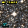 HD 269813