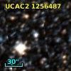 [L63] 261