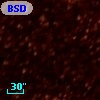 BSDL 2291