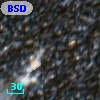 BSDL 2737