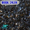 BSDL 2829