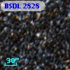 BSDL 2828
