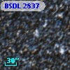 BSDL 2837