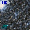 BSDL 2888