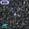 BSDL 2902