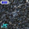 BSDL 2913