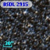 BSDL 2915