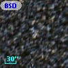 BSDL 2919