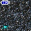 BSDL 2920